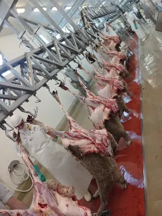 Línea de proceso en planta